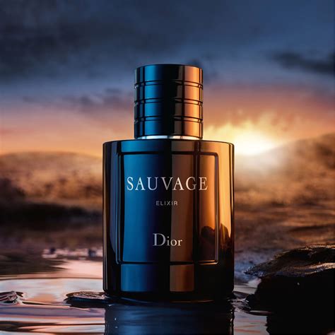 dior sauvage 100ml elixir|dior sauvage elixir price.